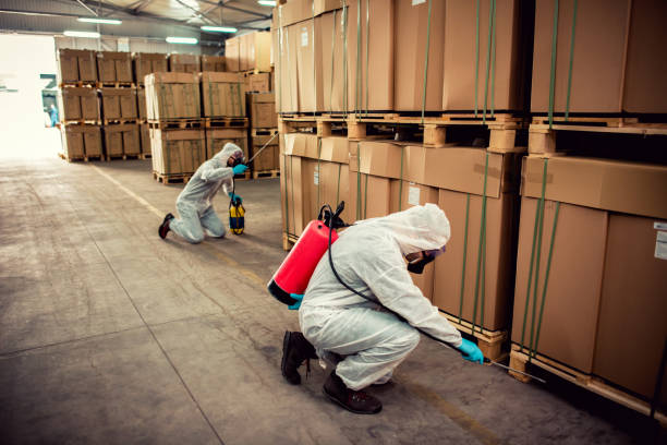 Best Local Pest Control Services  in Lake Wynonah, PA