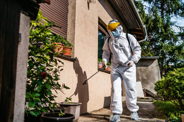 Best Rat Extermination Near Me  in Lake Wynonah, PA