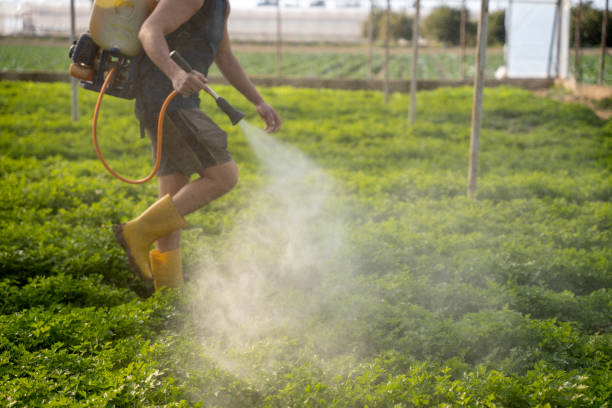 Best Pest Removal Services  in Lake Wynonah, PA