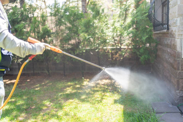 Best Flea Control Services  in Lake Wynonah, PA