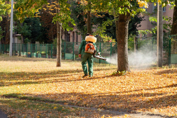 Insect Control in Lake Wynonah, PA