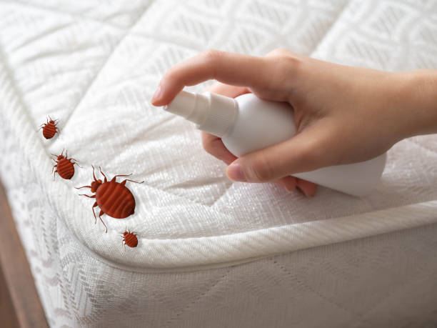 Best Commercial Pest Control Services  in Lake Wynonah, PA